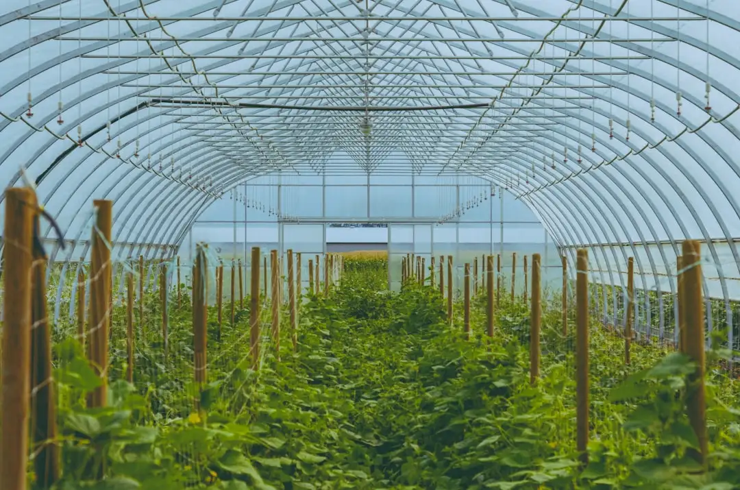 上海户外大屏广告投放策略与效果评估方法