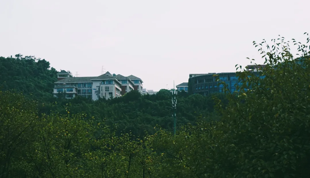 媒体投放渠道对比：户外大屏与社区广告在品牌传播中的差异化价值